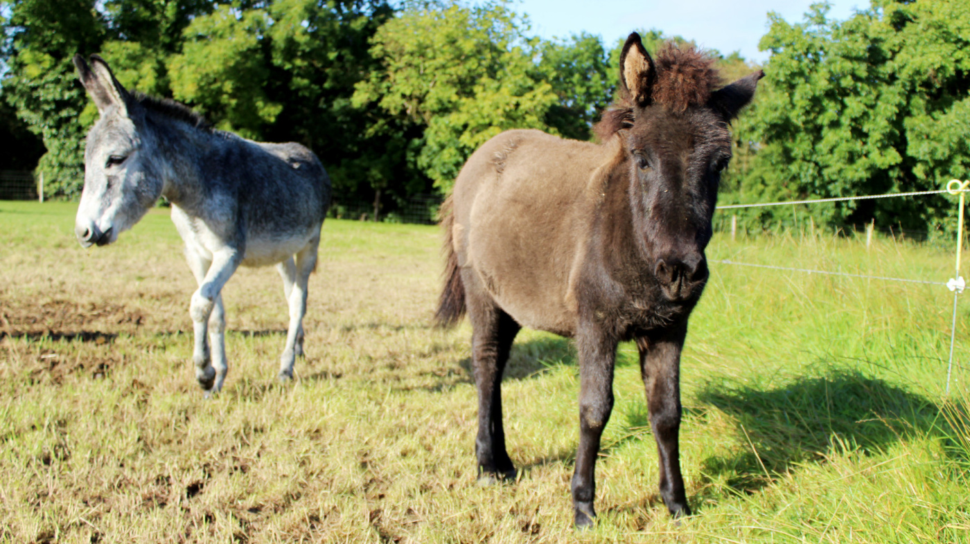 Beebee moved from New Arrivals to be with 'the youngsters'